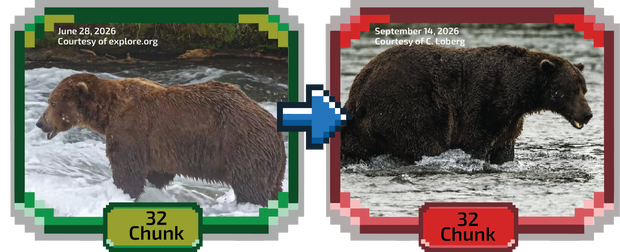 Fat Bear Week 2026: A Thrilling Tournament in Katmai National Park
