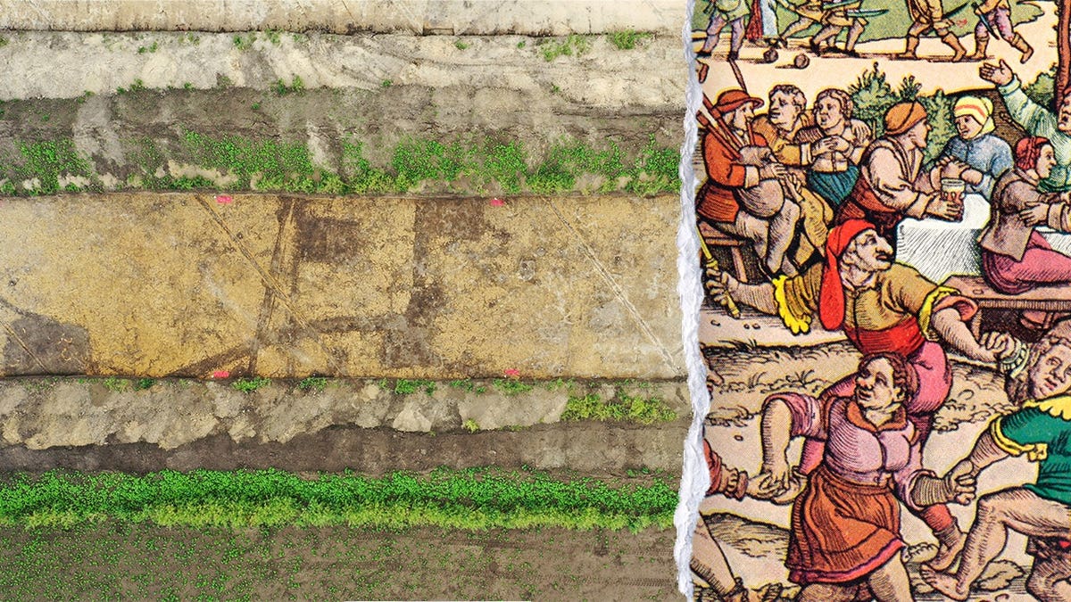 Medieval Village Remains Discovered in Germany