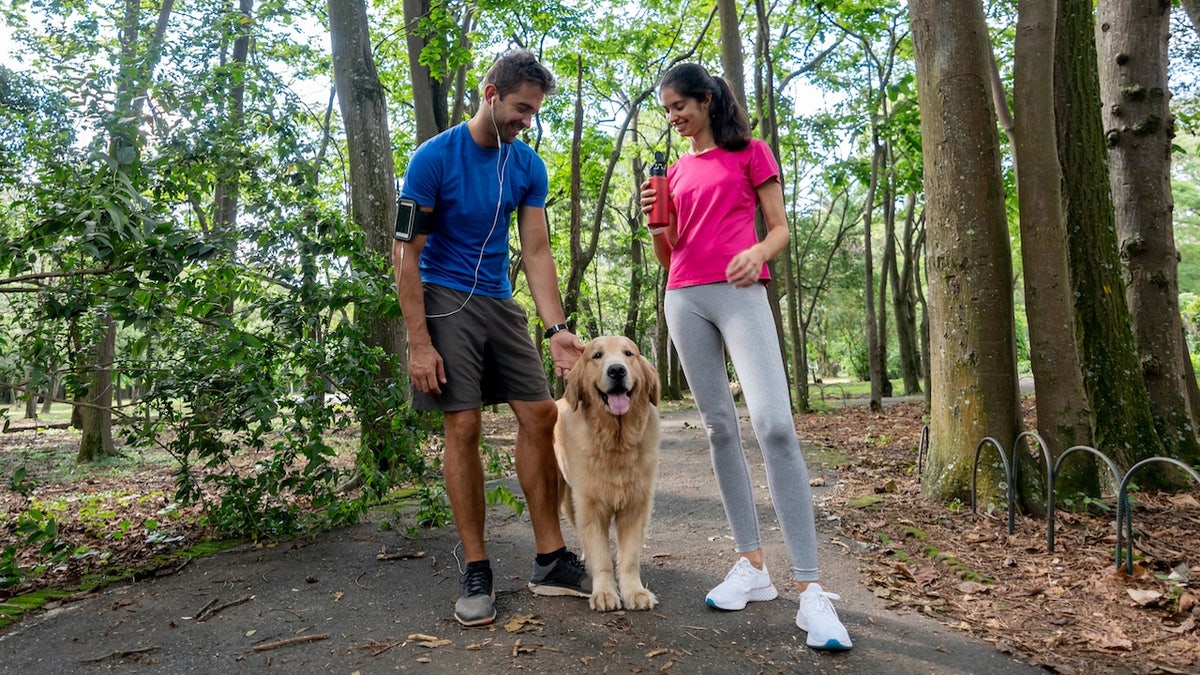 The Impact of Dog Ownership on Longevity