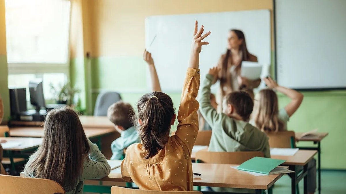 Success Academy Challenges New York Education Policy