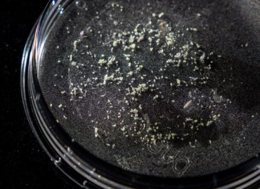 Addressing Plastic Waste with Ancient Solutions and Modern Innovations