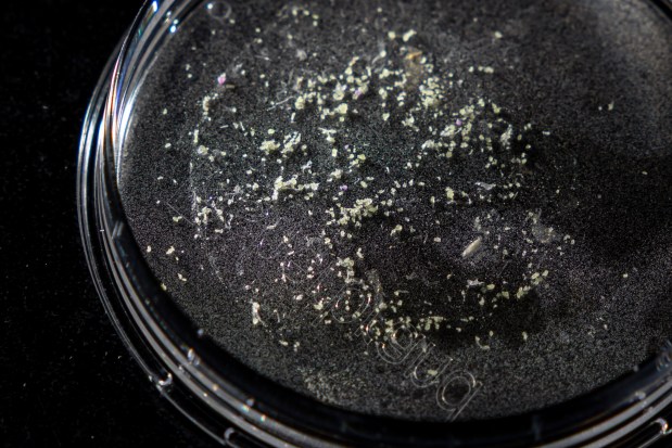 Addressing Plastic Waste with Ancient Solutions and Modern Innovations