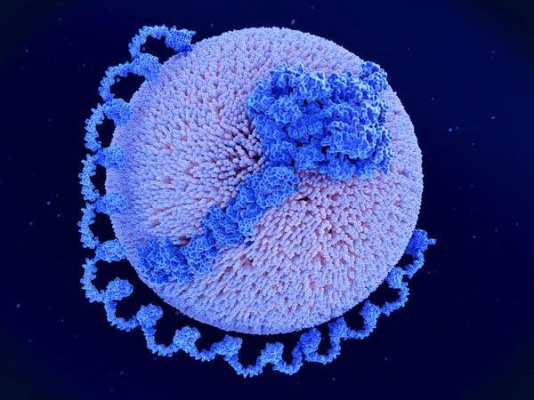 Unexpected Results in Heart Disease Drug Trials