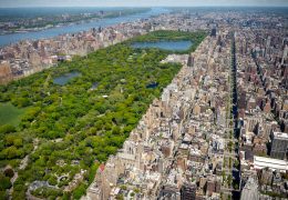 Investigation Underway After Woman Found Dead in Central Park