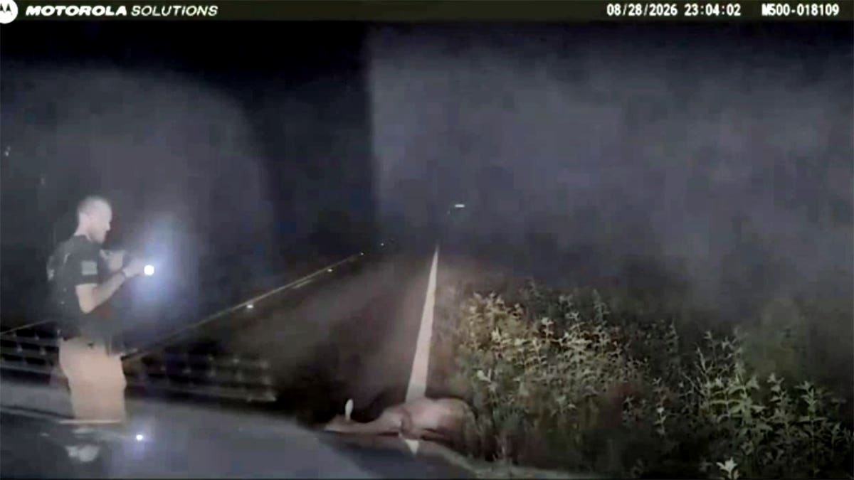 Surprising Deer Encounter for East Texas Deputy Becomes Viral Sensation