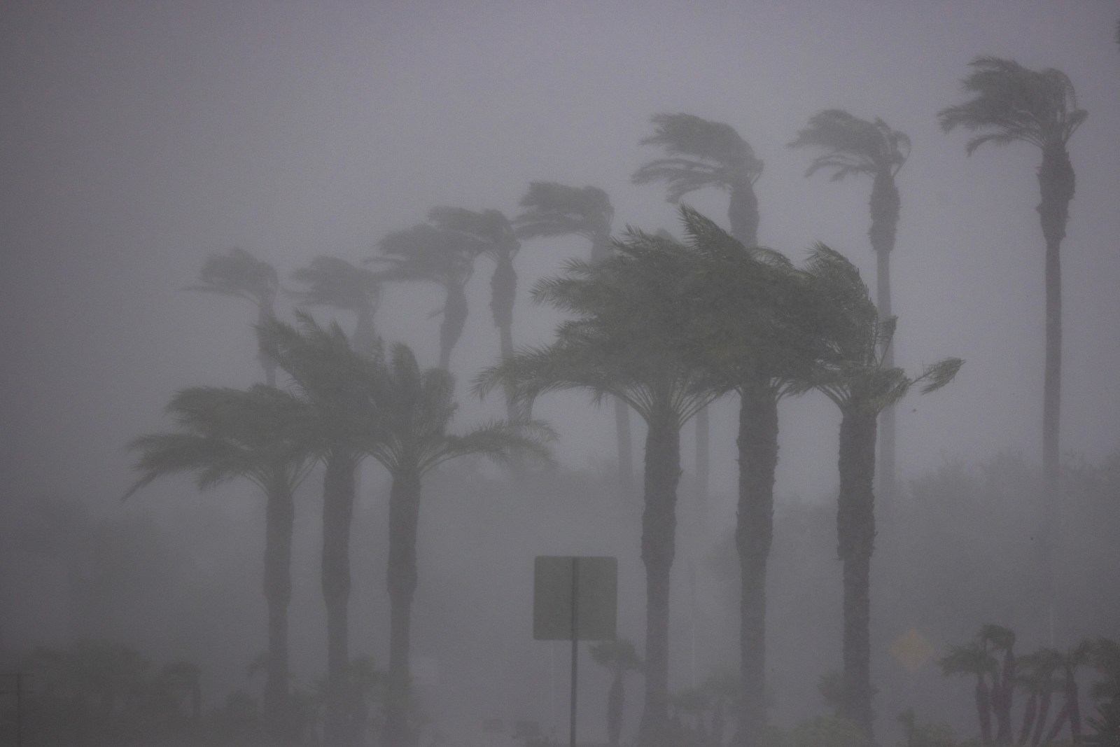 El Niño’s Anticipated Impact on U.S. Weather