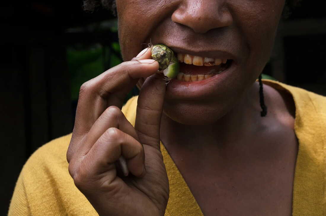 Ancient Betel Nut Use: A Window Into Early Human Practices