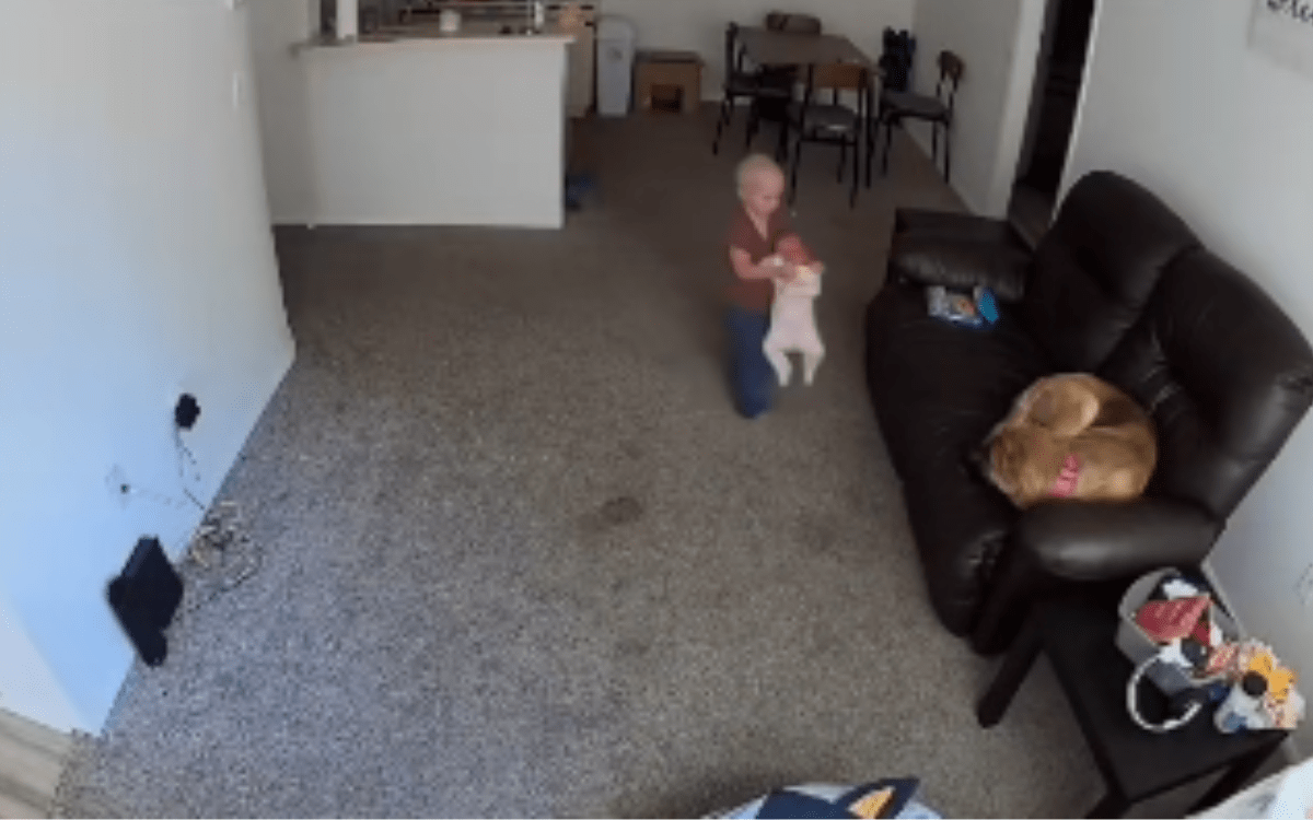 A Mother’s Unexpected Discovery and the Role of Security Cameras