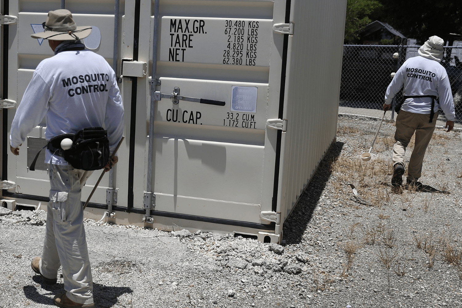 Dengue Fever in Florida: First Death of 2026 Reported Amid Rising Cases