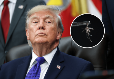 Trump Orders Action Against Mosquitoes and Ticks