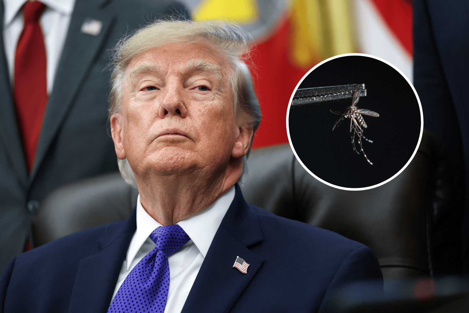 Trump Orders Action Against Mosquitoes and Ticks