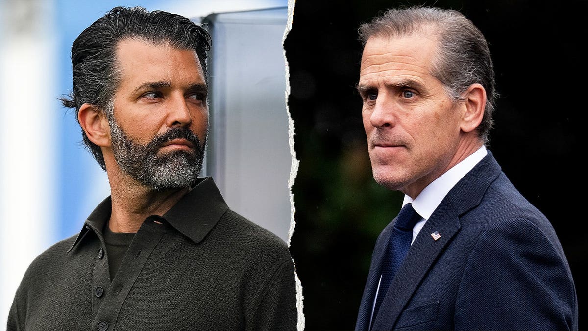 Senate Republican Calls for Inquiry into Donald Trump Jr. and Hunter Biden’s Alleged Business Practices