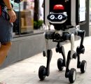 Robot Dog R-dog Revolutionizes Delivery with Autonomous Navigation and Advertising