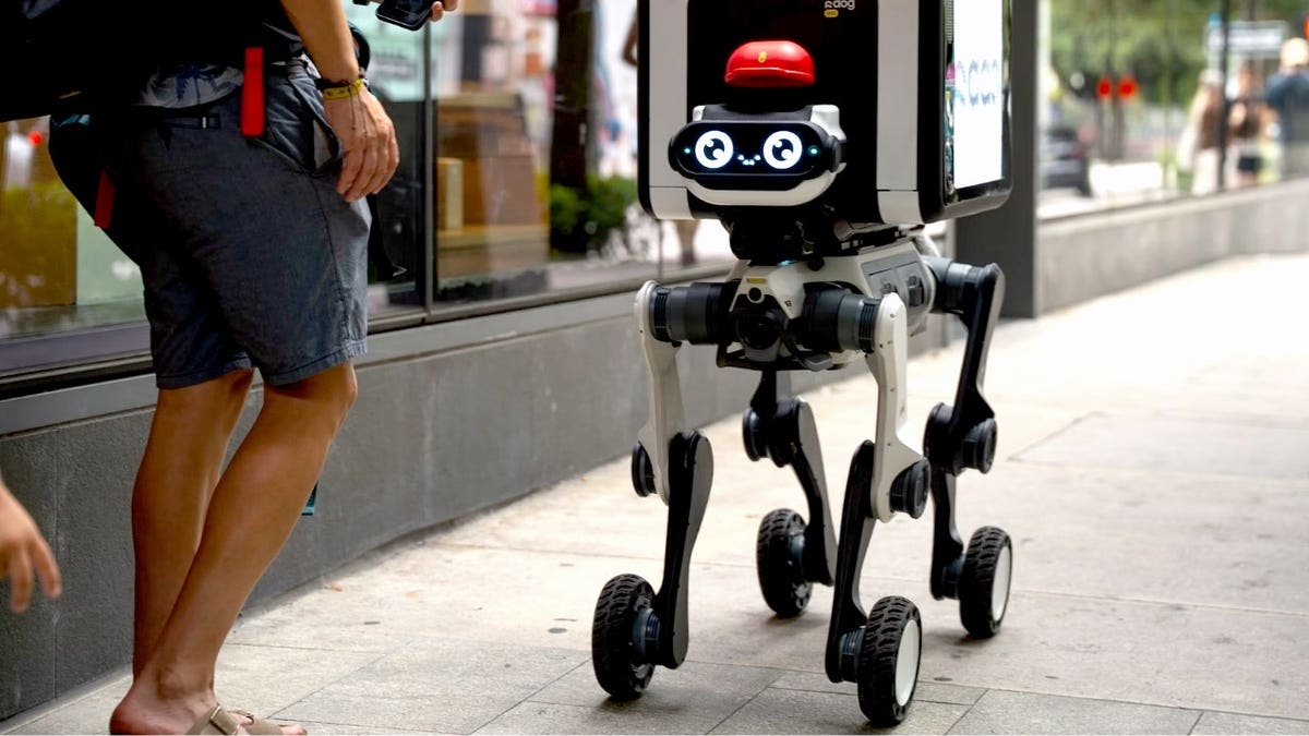 Robot Dog R-dog Revolutionizes Delivery with Autonomous Navigation and Advertising