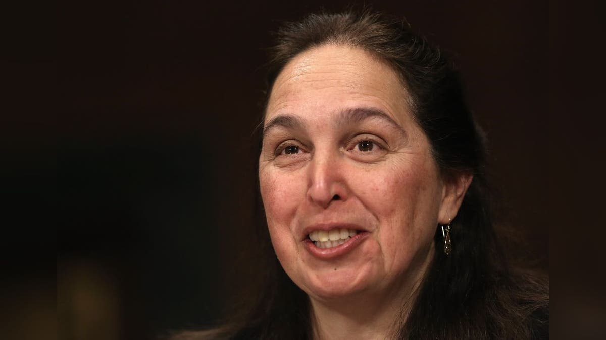 Controversy Surrounding Election Security Efforts and Judicial Interventions
