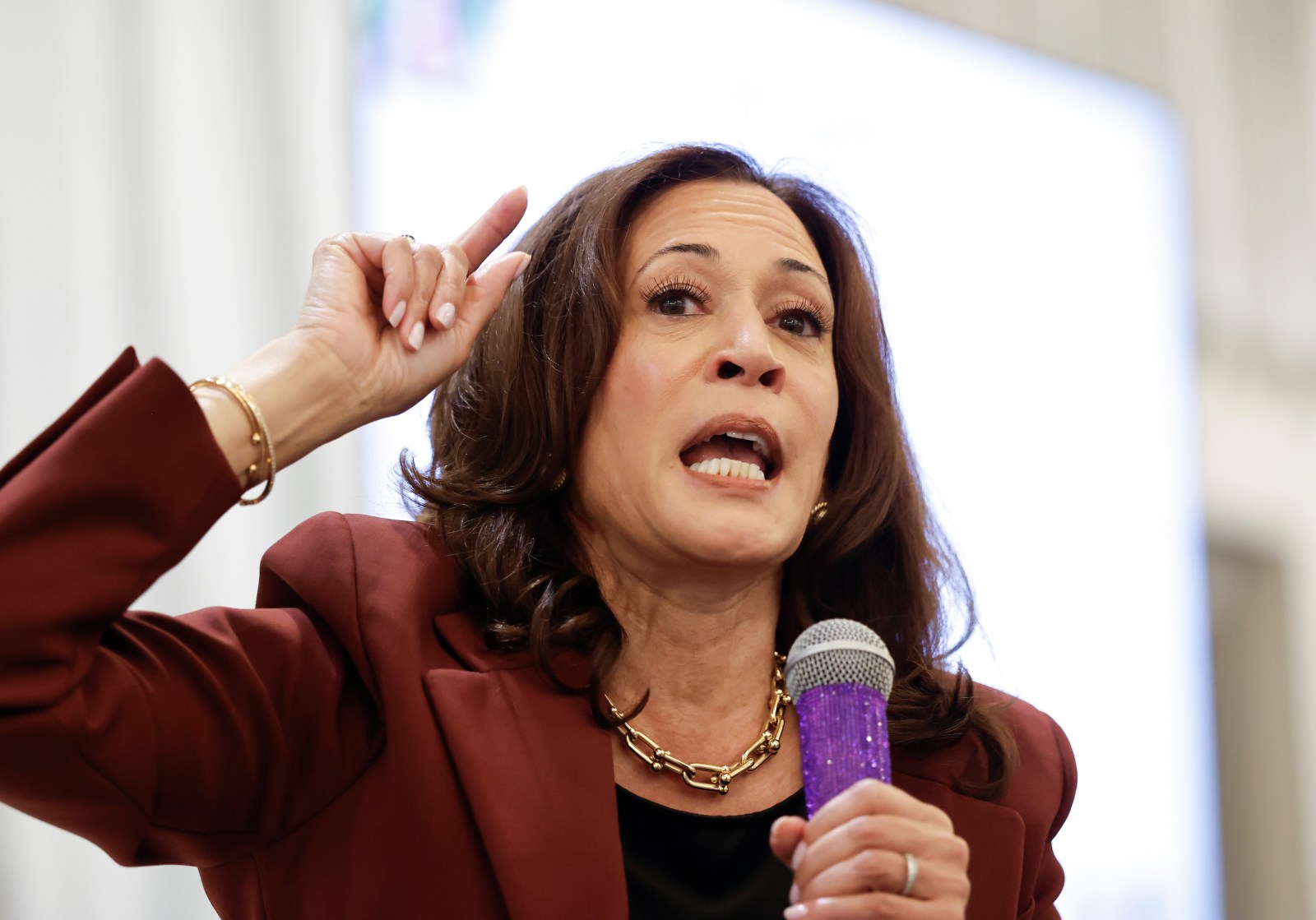 Kamala Harris Leads Early Polls for Democratic Presidential Candidates in 2028