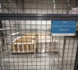 Election Security Concerns: Preparation and Monitoring