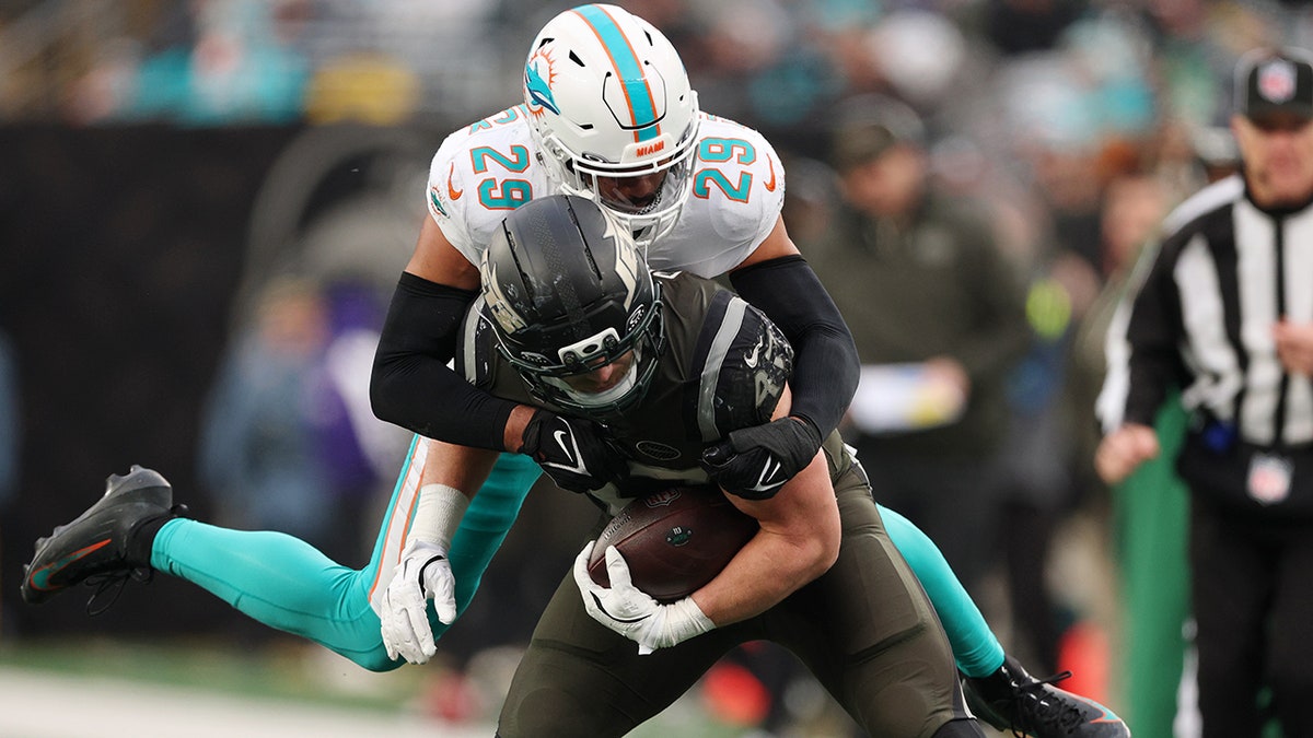Dolphins Break Streak with Lead Against Jets