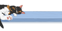 The Shift in American Pet Ownership: Are Cats Gaining Ground?