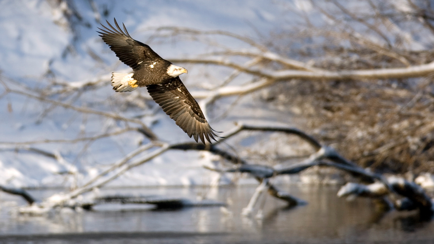 Protecting Nature While Building a Strong America