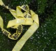 Fatal Shooting of Five in Georgia Under Investigation