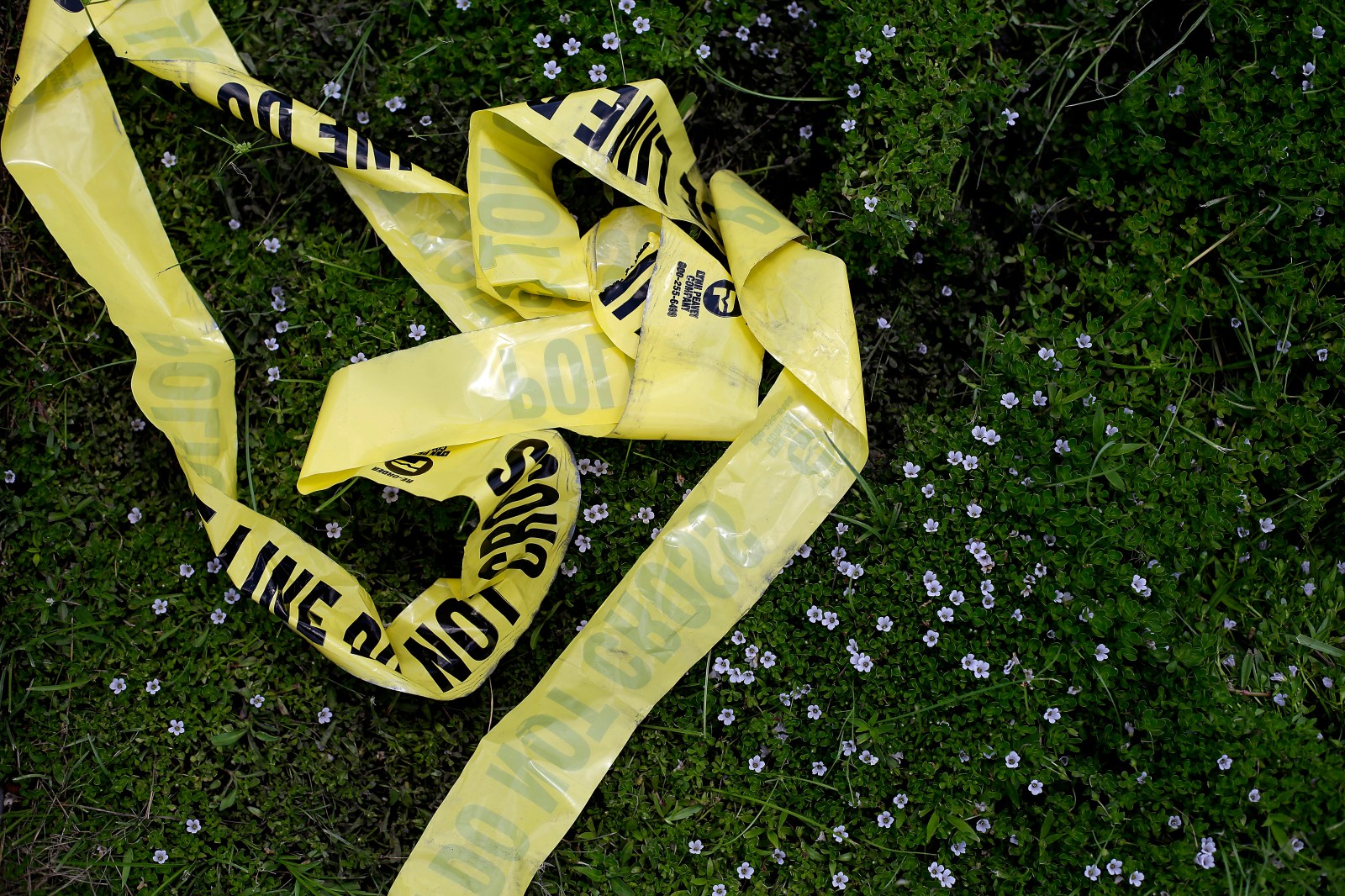 Fatal Shooting of Five in Georgia Under Investigation