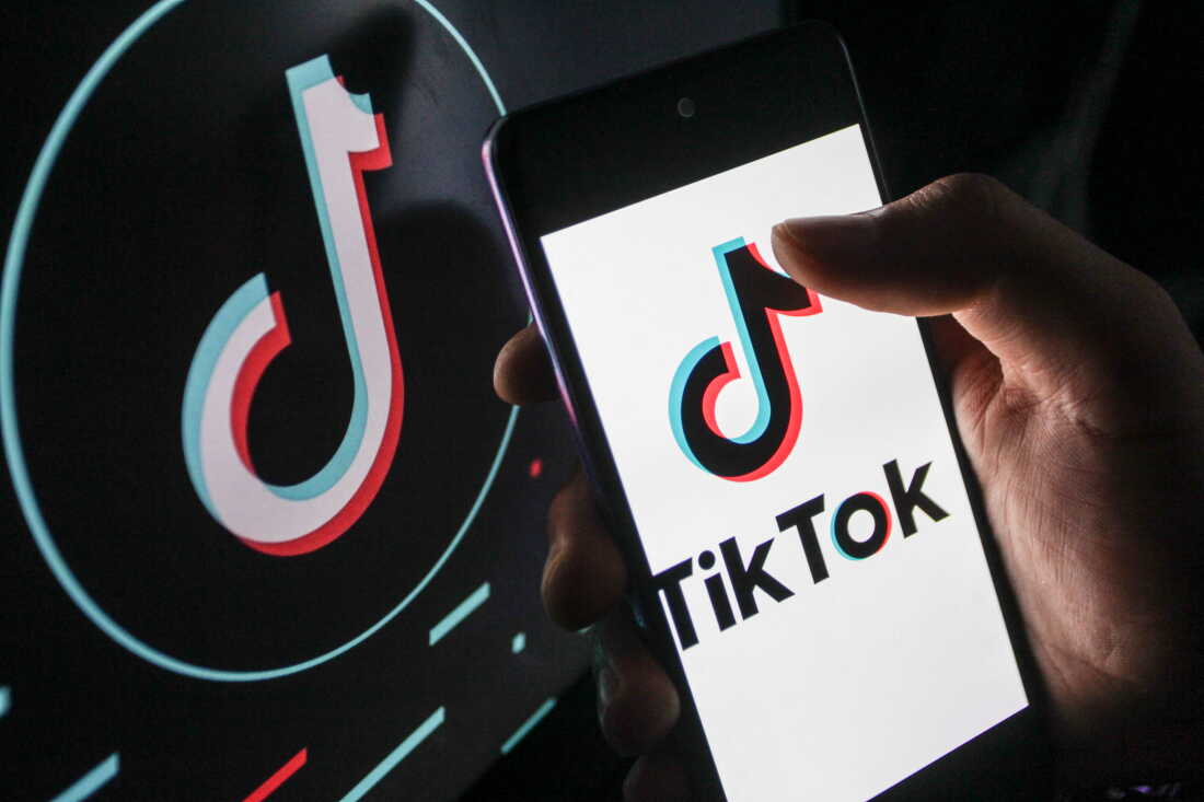 Employee Concerns Over Child Safety on TikTok