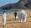 Tragic Shipwreck Off Djibouti Claims Over 139 Lives
