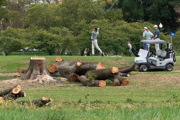 Federal Judge Halts Tree Removal at East Potomac Golf Links
