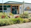Portland School Reverses Ban on Mother Opposing Gender Curriculum