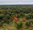 Warm Weather’s Impact on Trees and Agriculture