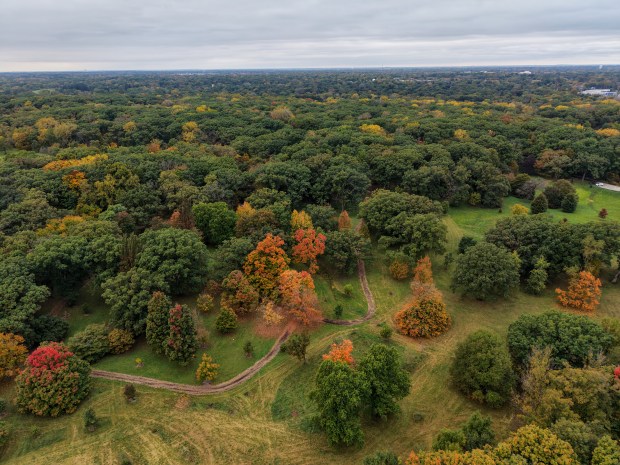 Warm Weather’s Impact on Trees and Agriculture