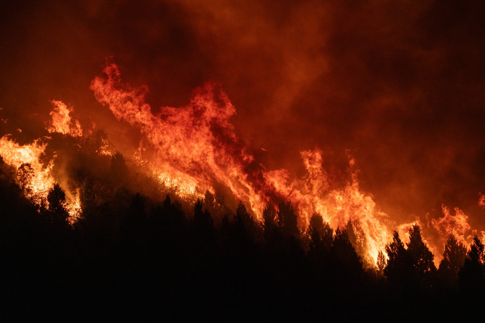 Fire at Canadian Military Base Leads to Fatalities and Injuries