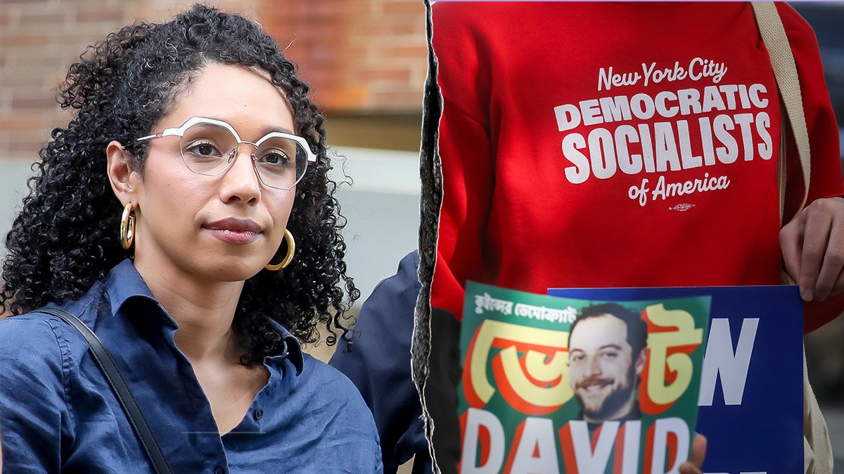 Potential Moves to Challenge DSA Members in Congress