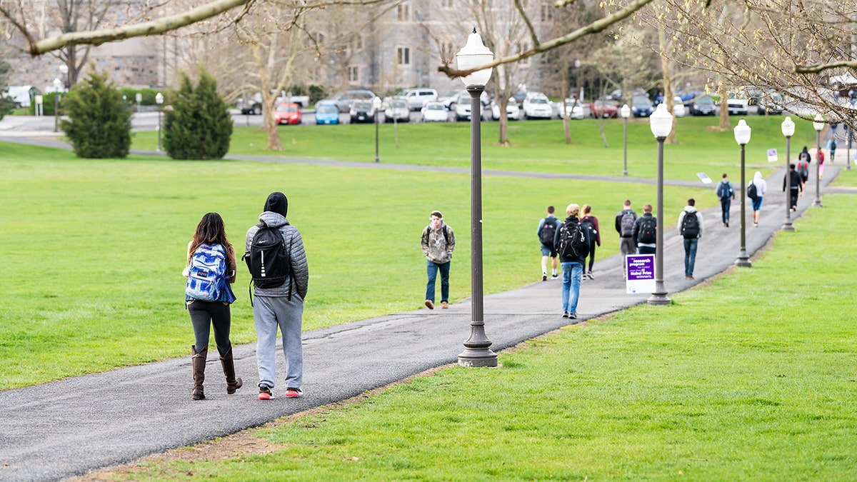 Gen Z Students Choose Online Learning Over Traditional College Experience
