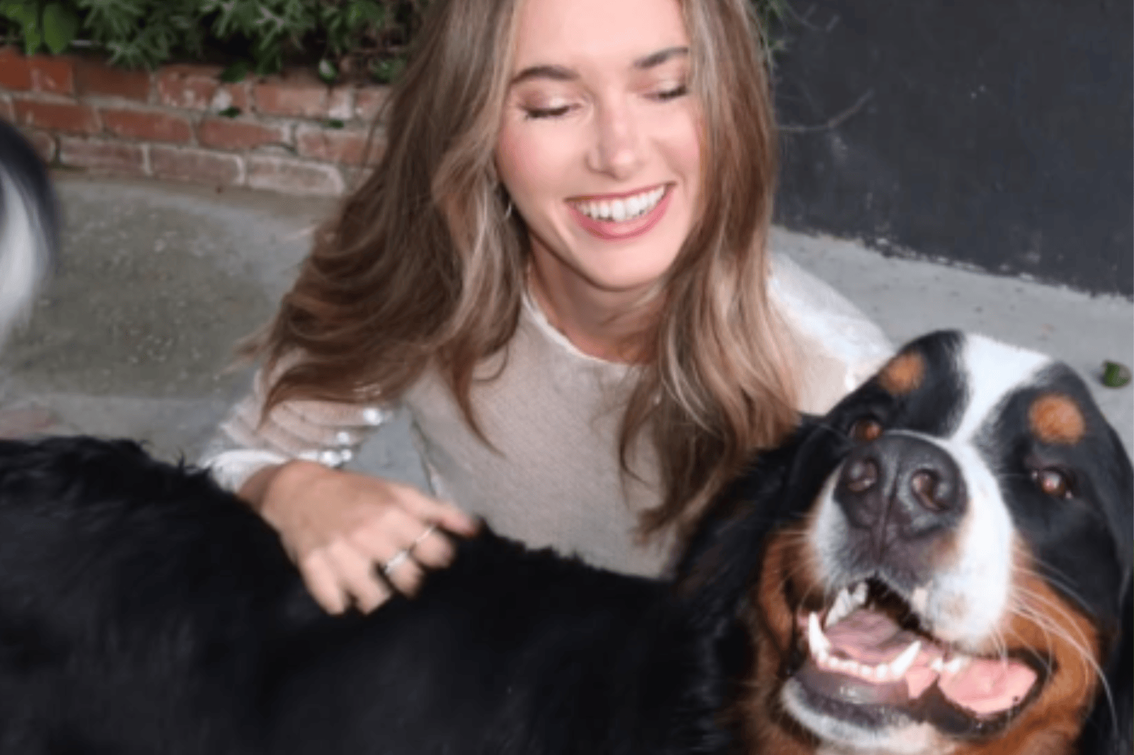 California Lawmaker Proposes Dunkin’s Law to Protect Pets
