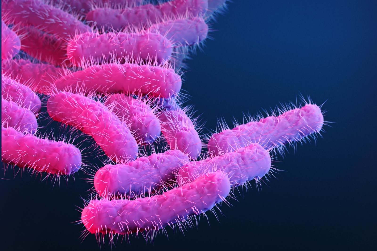 Rising Antibiotic Resistance in Shigella Infections in the U.S.