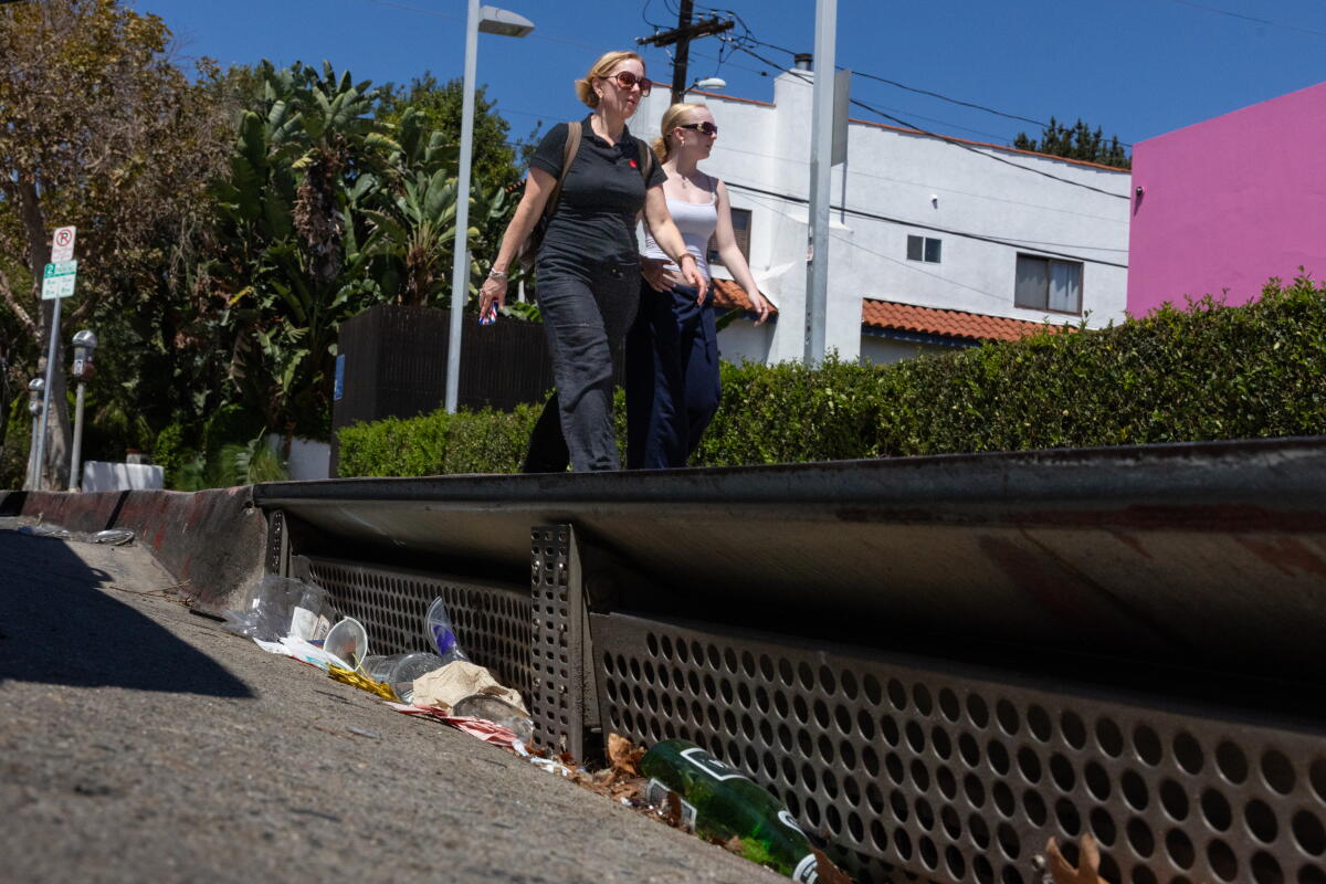 Microplastics: Long-Known Concerns and Modern Challenges