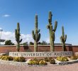 University of Arizona Suspends Six Fraternities Amid Investigations