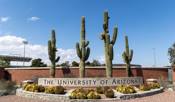 University of Arizona Suspends Six Fraternities Amid Investigations