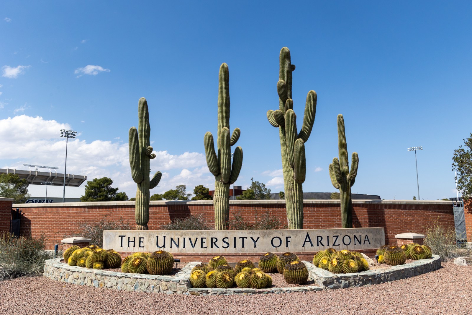 University of Arizona Suspends Six Fraternities Amid Investigations