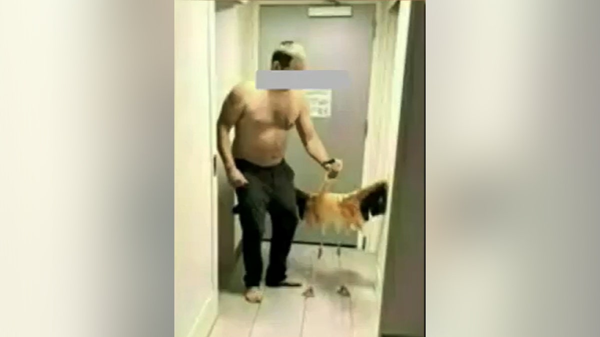 Canadian Tourist Convicted of Animal Cruelty in Flamingo Case