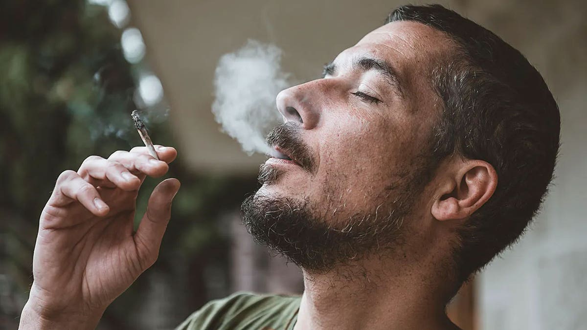 The Rising Concerns of Cannabis Use Among Families