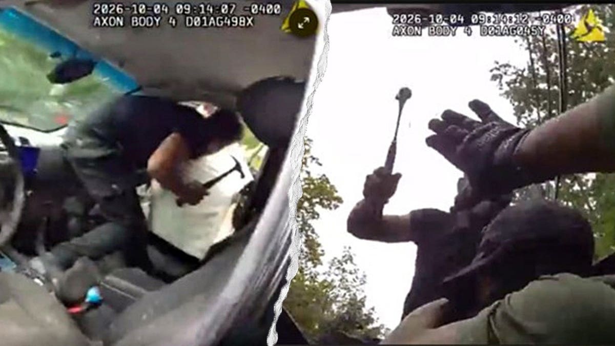 Illegal Immigrants Face Charges for Attacking Law Enforcement Officers