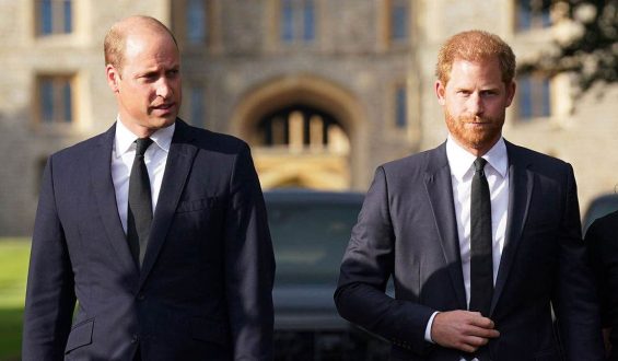 Royal Rift: Prince William and Harry’s Strained Relationship