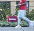 Senate Races: Democratic Opportunities in 2026