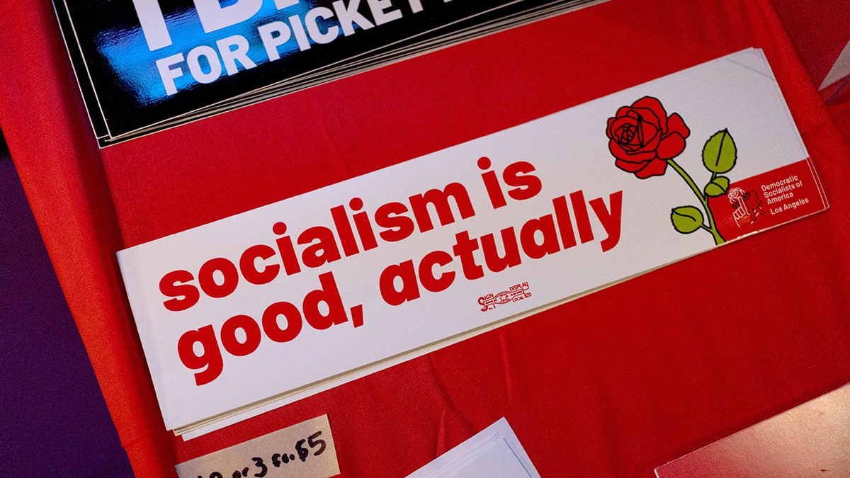 DSA-Backed Candidates Rise in State Elections