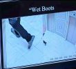 Las Vegas Tourist Accused in Flamingo Incident