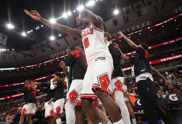Bulls Preseason Takeaways: Rotations, Key Players, and Young Prospects