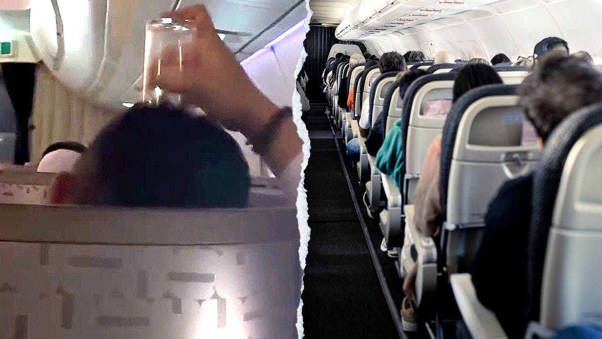 Business-Class Passenger Shocks with Unusual Grooming Choice